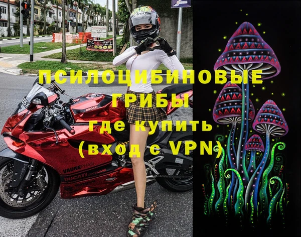 винт Алзамай