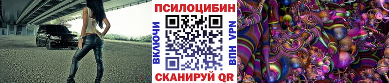 Псилоцибиновые грибы Cubensis Алупка